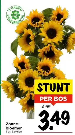 Vomar Voordeelmarkt Zonne bloemen aanbieding