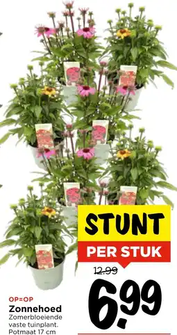 Vomar Voordeelmarkt Zonnehoed aanbieding