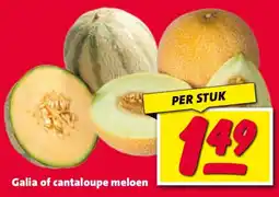 Nettorama Galia of cantaloupe meloen aanbieding