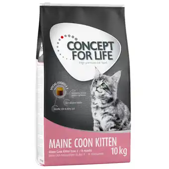 Zooplus 10kg Kitten Maince Coon Concept for Life Kattenvoer aanbieding