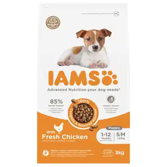 Zooplus IAMS Advanced Nutrition Puppy & Junior Small / Medium Kip Hondenvoer - 3 kg aanbieding