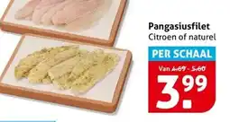 Hoogvliet Pangasiusfilet aanbieding