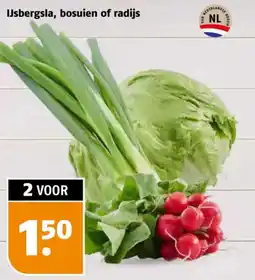 Poiesz IJsbergsla, bosuien of radijs aanbieding