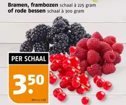 Poiesz Bramen, frambozen of rode bessen aanbieding