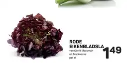 Ekoplaza Rode eikenbladsla aanbieding
