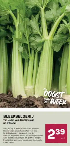 Ekoplaza Bleekselderij aanbieding