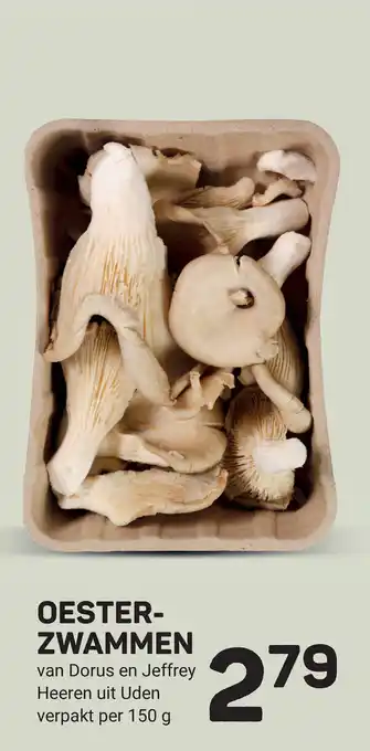Ekoplaza Oester zwammen aanbieding