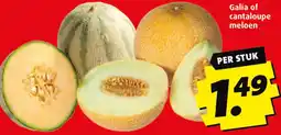 Boni Galia of cantaloupe meloen aanbieding