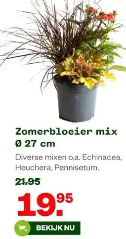 Welkoop Zomerbloeier mix 027 cm aanbieding