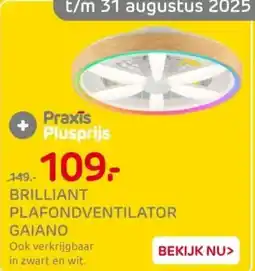 Praxis Brilliant plafondventilator gaiano aanbieding