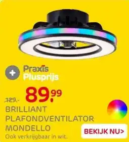 Praxis Brilliant plafondventilator mondello aanbieding
