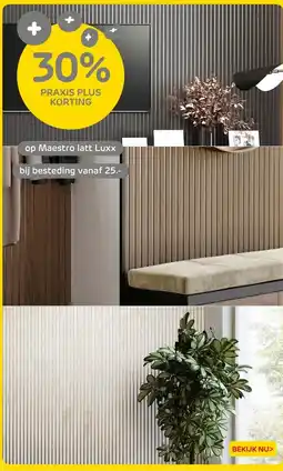 Praxis Maestro latt Luxx aanbieding