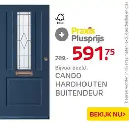 Praxis CANDO HARDHOUTEN BUITENDEUR aanbieding
