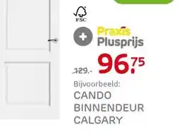 Praxis CANDO BINNENDEUR CALGARY aanbieding