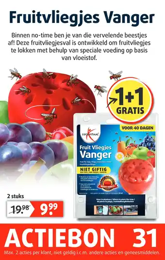 Lucovitaal Fruitvliegjes Vanger aanbieding