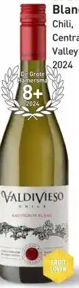 Gall & Gall Valdivieso Sauvignon Blanc 75CL aanbieding