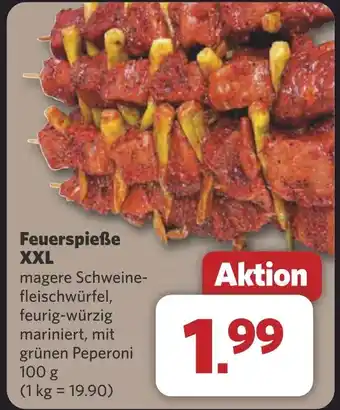 Combi Feuerspieße XXL aanbieding