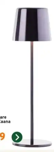 GAMMA USB oplaadbare buitenlamp Xaana aanbieding