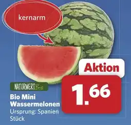Combi Bio Mini Wassermelonen aanbieding