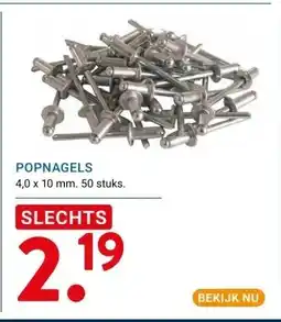 Kluswijs POPNAGELS aanbieding