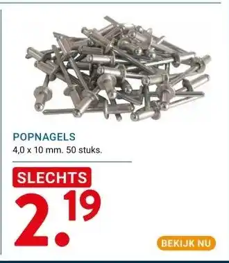 Kluswijs POPNAGELS aanbieding