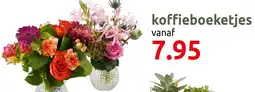 Deka Tuin Koffieboeketjes aanbieding
