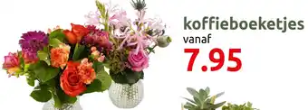 Deka Tuin Koffieboeketjes aanbieding