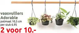 Deka Tuin Vaasvulllers Adorable aanbieding