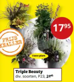 Tuinland Triple Beauty aanbieding