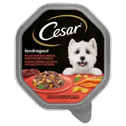 Zooplus Cesar Multipack Hondenvoer 14 x 150 g - Landragout met Rund, Noedels & Wortel aanbieding