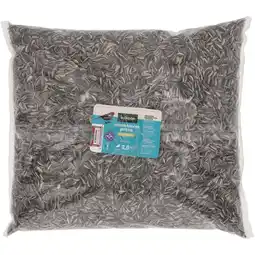 Welkoop Welkoop - Gestreepte Zonnebloempitten - Tuinvogelvoer - 2,5kg aanbieding
