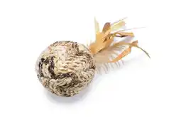Welkoop Beeztees Balletje Tuxa - Kattenspeeltje - Beige Bruin aanbieding