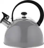Bol.com Florina Brillo fluitketel 25L voor alle warmtebronnen - Waterketel - donkergrijs aanbieding