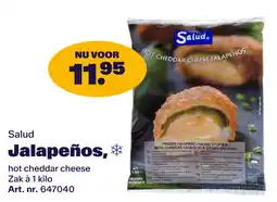 Bidfood Salud Jalapeños aanbieding