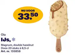 Bidfood Ola IJs aanbieding
