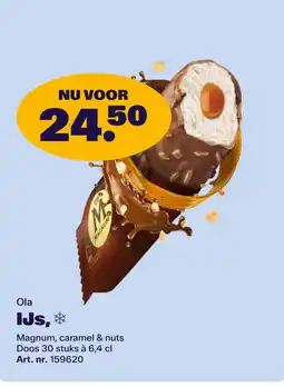 Bidfood Ola IJs aanbieding