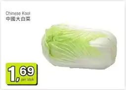 Amazing Oriëntal Chinese Kool 中國大白菜 aanbieding