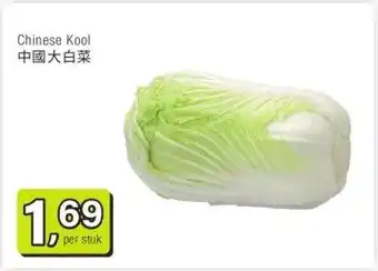 Amazing Oriëntal Chinese Kool 中國大白菜 aanbieding
