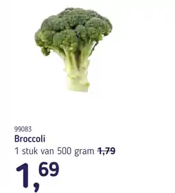 Van Hoeckel 99083 Broccoli aanbieding