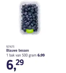 Van Hoeckel Blauwe bessen aanbieding
