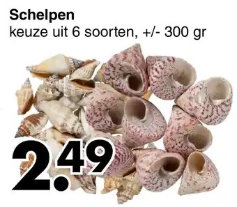 Wibra Schelpen 300g aanbieding