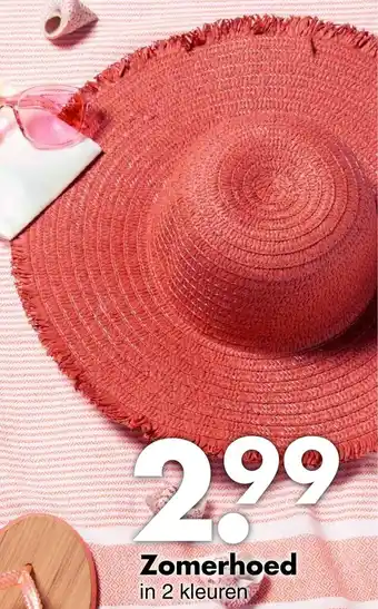 Wibra Zomerhoed aanbieding