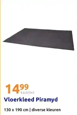 Action Vloerkleed Piramyd aanbieding