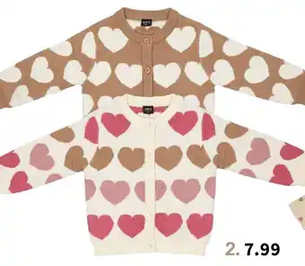Wibra Vest aanbieding