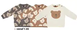 Wibra Trui aanbieding