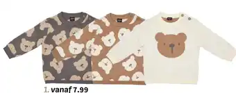 Wibra Trui aanbieding