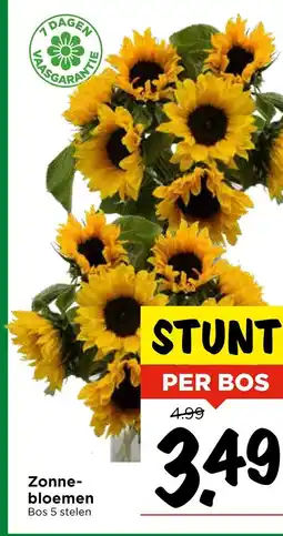 Vomar Voordeelmarkt Zonne bloemen aanbieding