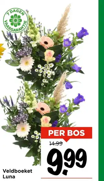 Vomar Voordeelmarkt Veldboeket Luna aanbieding