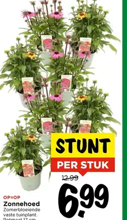Vomar Voordeelmarkt Zonnehoed aanbieding