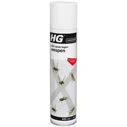 Plein.nl HG X Spray Tegen Wespen 400 ml aanbieding